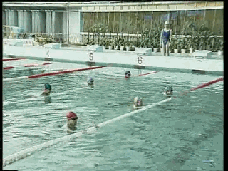 爬泳與仰泳前滾翻轉身的兩個動作要領和五個練習方法