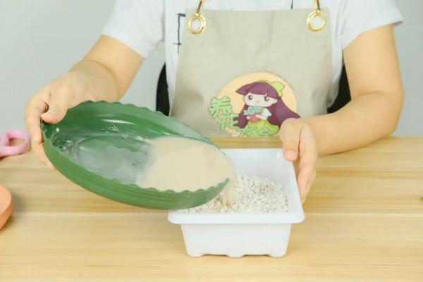 6種花別養老樁,越老越不開花,趕緊扦插備份 6種花別養老樁,越老越不開花,趕緊扦插備份