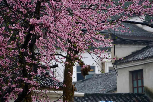 國內最值得一去的10個小眾旅行地，悠閒地呆上幾天，靜享美好