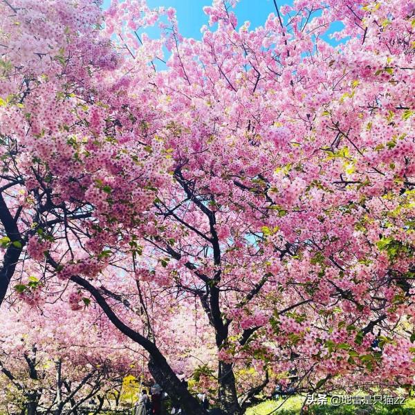 2022 年 4月10日 今日星座運勢