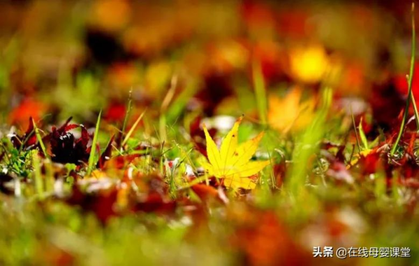 男人頂級的修養:窮不怪父,苦不怨妻,氣不兇孩 男人頂級的修養:窮不怪父,苦不怨妻,氣不兇孩