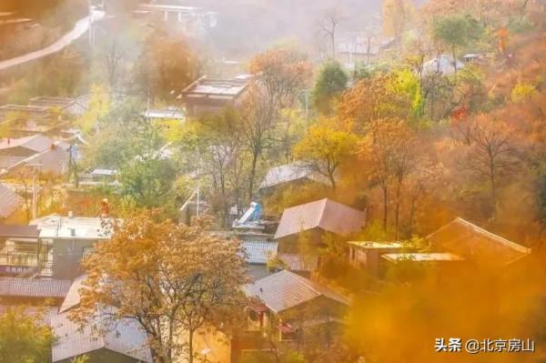 秋意濃，房山紅 ！快到房山這三地遇見色彩斑斕的秋天