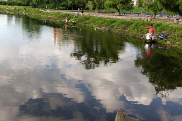 天冷釣鯽魚，冬天選這幾種天氣出門，最容易釣到大板鯽