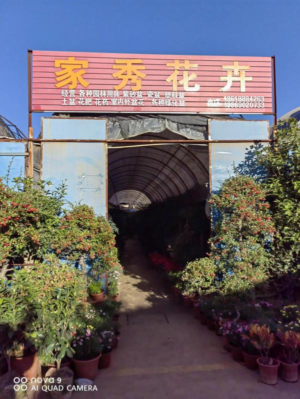 麗江古城昭慶市場