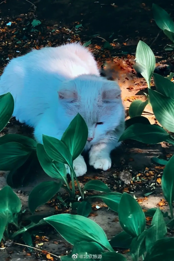 11月份“愛在深秋”,京郊這些人少景美的地方藏著秋天的愛 11月份“愛在深秋”,京郊這些人少景美的地方藏著秋天的愛