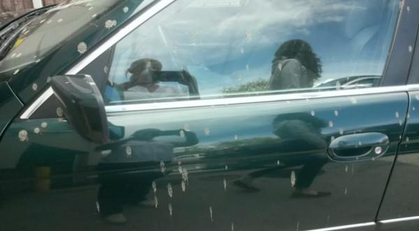 英國男子在花園散步,被飛機天降一潑屎澆一頭?這種倒黴事還不少 英國男子在花園散步,被飛機天降一潑屎澆一頭?這種倒黴事還不少