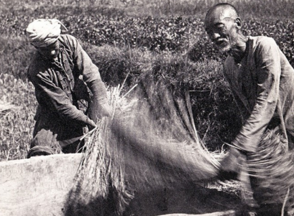 抗戰時期種田的農民，生活相對要好？原來前3年和後5年有天壤之別