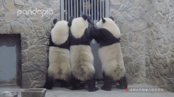 依稀記得當初網購是為了省錢來著？