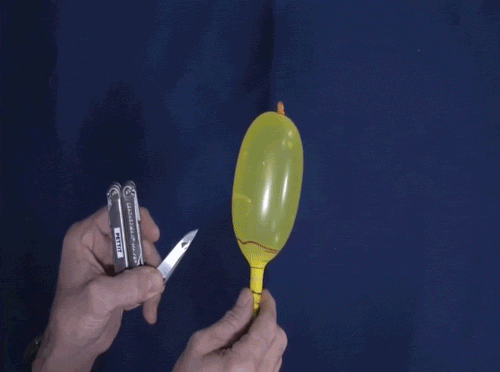 86個難得一見的照片，仙鶴踢飛老鷹，世界最早自拍，鞭腿的力量