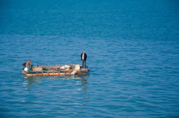 寵物到底用不用喂鹽?為什麼野生動物不用吃鹽,而人卻不吃不行? 寵物到底用不用喂鹽?為什麼野生動物不用吃鹽,而人卻不吃不行?