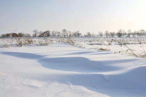 北方的冬天美景和美食 北方的冬天美景和美食