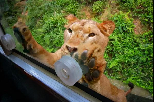 元旦最強攻略出爐！小眾美景、愜意度假、全家出遊都有，拿走去耍