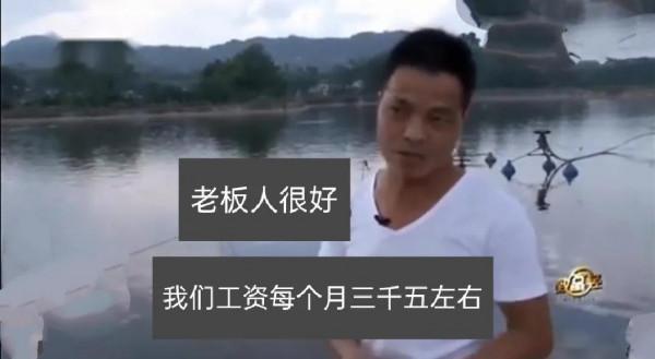 大叔深山養殖:八萬只團魚,兩三年過後,讓他大賺了三千六百萬元 大叔深山養殖:八萬只團魚,兩三年過後,讓他大賺了三千六百萬元