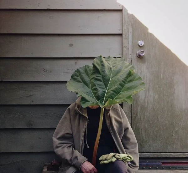 原來老年人還可以這樣穿 原來老年人還可以這樣穿