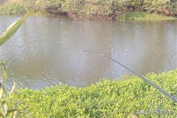 冬季釣魚，這4個技巧冬季獨有，“吃”透了爆護很輕鬆