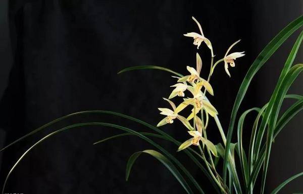 從上車那一刻開始,我已經毀了 從上車那一刻開始,我已經毀了