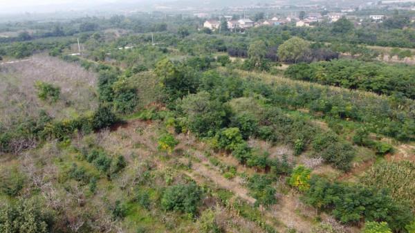 陪葬唐太宗李世民的“昭陵雙墓”，難得一見