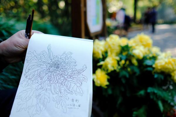 五彩斑斕！嘉定這裡美成這樣，還不快來