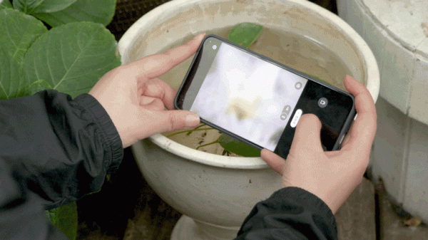 真我GT2 Pro影像測評：年輕人也可以玩得起的顯微鏡和魚眼鏡頭拍攝