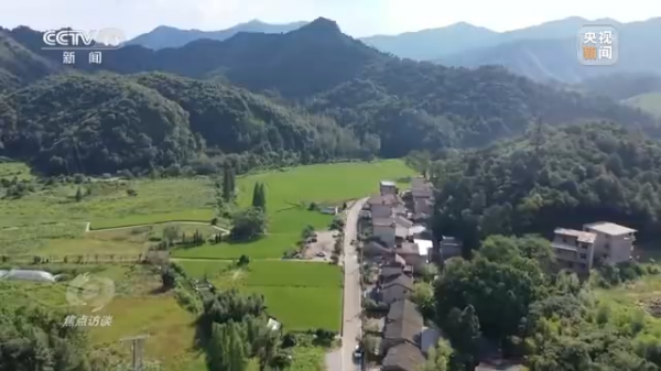 焦點訪談丨農業：走上高質量發展之路