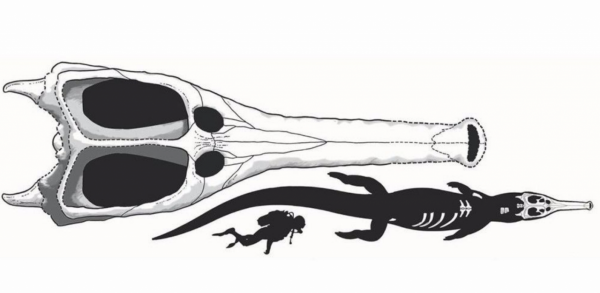 鱷魚家族有多倒黴？努力了兩億年，總是在馬上稱霸地球時被針對