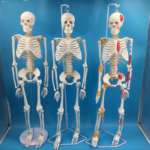 85歲老兵到銀行轉賬1000萬元,銀行核實後,才發現老人身份不簡單 85歲老兵到銀行轉賬1000萬元,銀行核實後,才發現老人身份不簡單