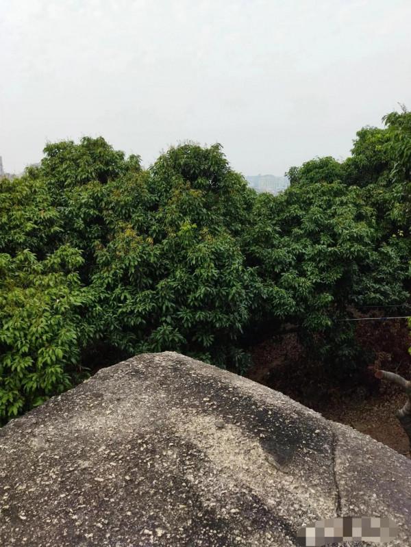 石巖防範區別有的風景