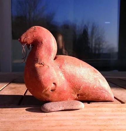 蔬菜的詩與遠方