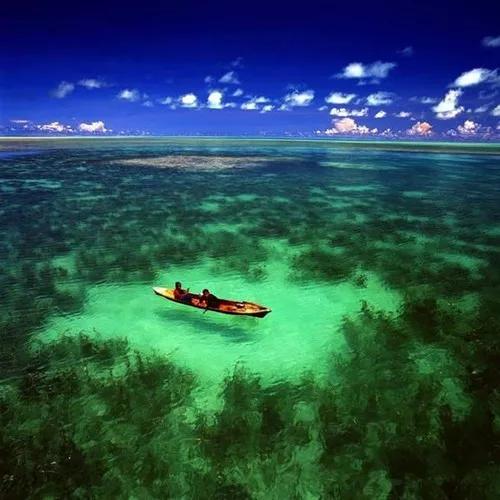 繪畫桌布丨仙本那，一群劃舟的孩子像是在天堂遊蕩