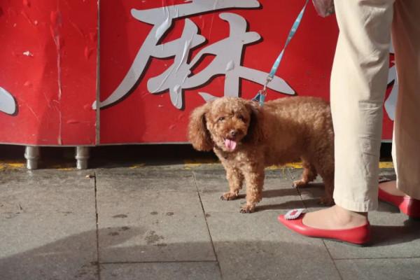 在西安偏僻小縣城的農家樂,我見識到了真正的碳水炸彈 在西安偏僻小縣城的農家樂,我見識到了真正的碳水炸彈