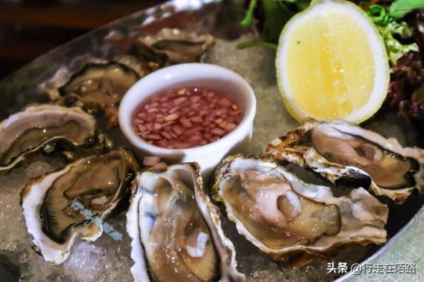 小國大能量：35萬人口擁有1.6萬家外企，加油127元自駕全國