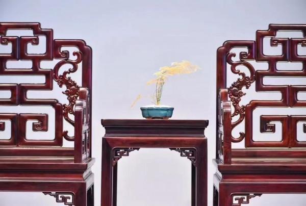 印度小葉紫檀（檀香紫檀）雙福捧壽太師椅、鑑賞