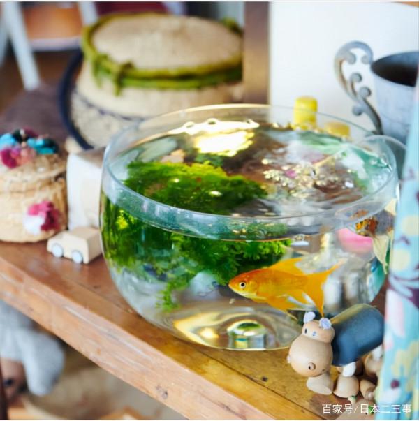 日本太太曬出“森系”家居，入目清新，整潔乾淨，充滿生活品質