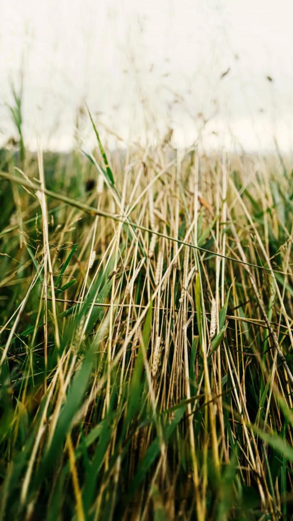 人生，從放下開始