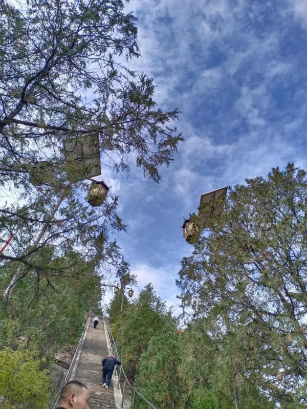 重陽登佳縣白雲山