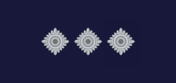 紐西蘭警銜標識