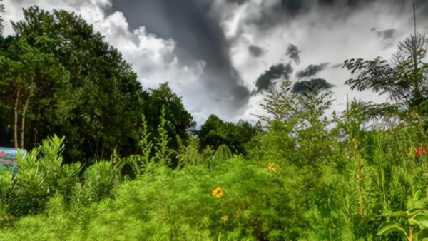 看得我自己都哭了 看得我自己都哭了
