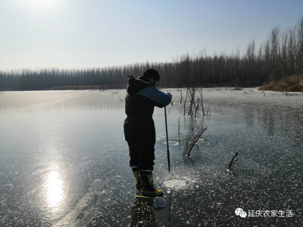 冰釣，享受冬季的樂趣
