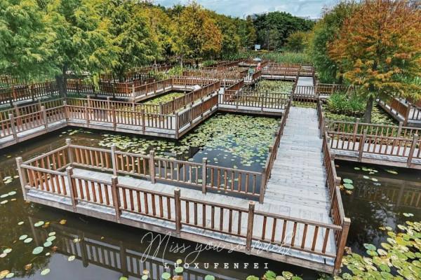 打卡廈門約會聖地！在浪漫之城，賞山海美景