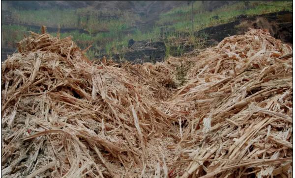 騰訊25萬份中秋月餅,包裝盒竟是甘蔗渣做的,獲網友點贊刷屏 騰訊25萬份中秋月餅,包裝盒竟是甘蔗渣做的,獲網友點贊刷屏