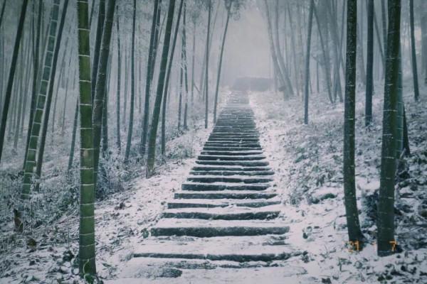 一起賞雪呀 | 今冬福建的初雪可能就要來啦！