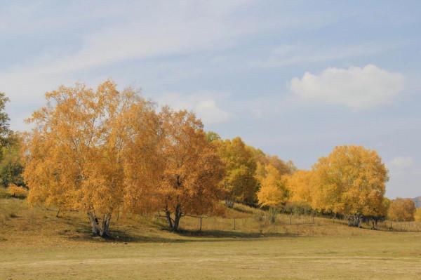烏蘭布統的迷人秋色