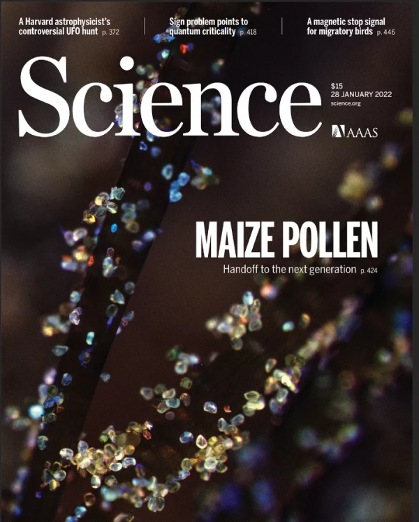 《科學》（20220128出版）一週論文導讀