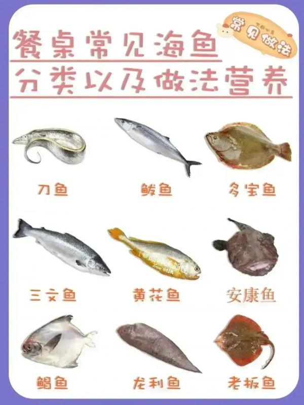 有人跟我一樣喜歡釣魚嗎？