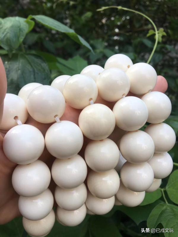 猛獁象牙真實市場成交價是多少？