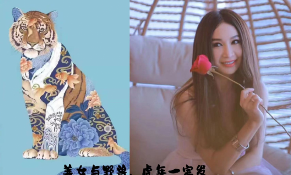 明星中的&OpenCurlyDoubleQuote;靈魂畫手&rdquo;：溫碧霞老虎畫成貓，沈騰畫如其人太搞笑