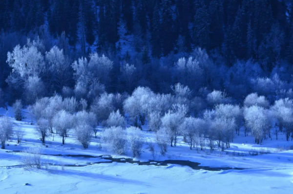 新疆剛下雪，小夥伴不淡定了：原來冬天的新疆是這樣的