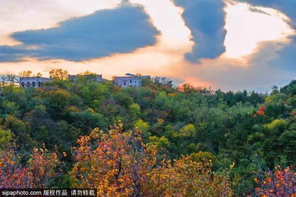 足足20家！北京最美秋色都在這裡了！不用人擠人！