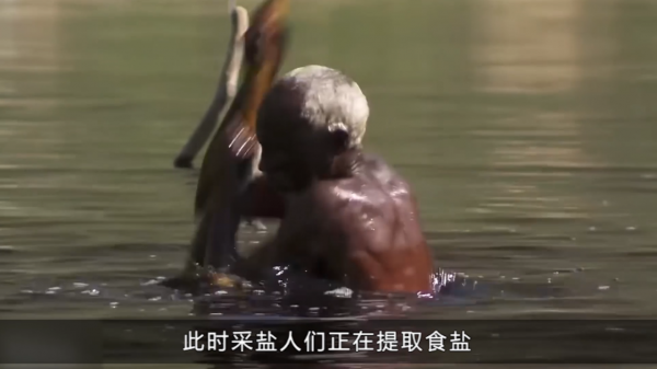 非洲鹽販的補給站,50米的深水井,誰說非洲人渴死不打井 非洲鹽販的補給站,50米的深水井,誰說非洲人渴死不打井