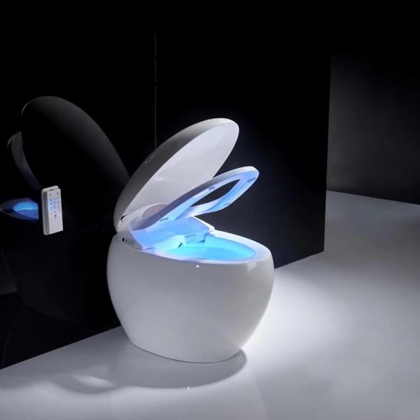 馬桶應該怎麼選？我買過兩個馬桶，建議大家搞清楚這些方面再來選